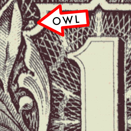 1 dollar bill owl spider. 1 dollar bill owl spider.